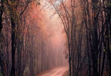 米兰体育app入口-当高原篮球撞上加泰魔术：一场颠覆认知的跨界风暴