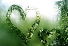 米兰真人-钢铁之师再奏凯歌！柏林联盟用胜利浇筑德甲中游堡垒