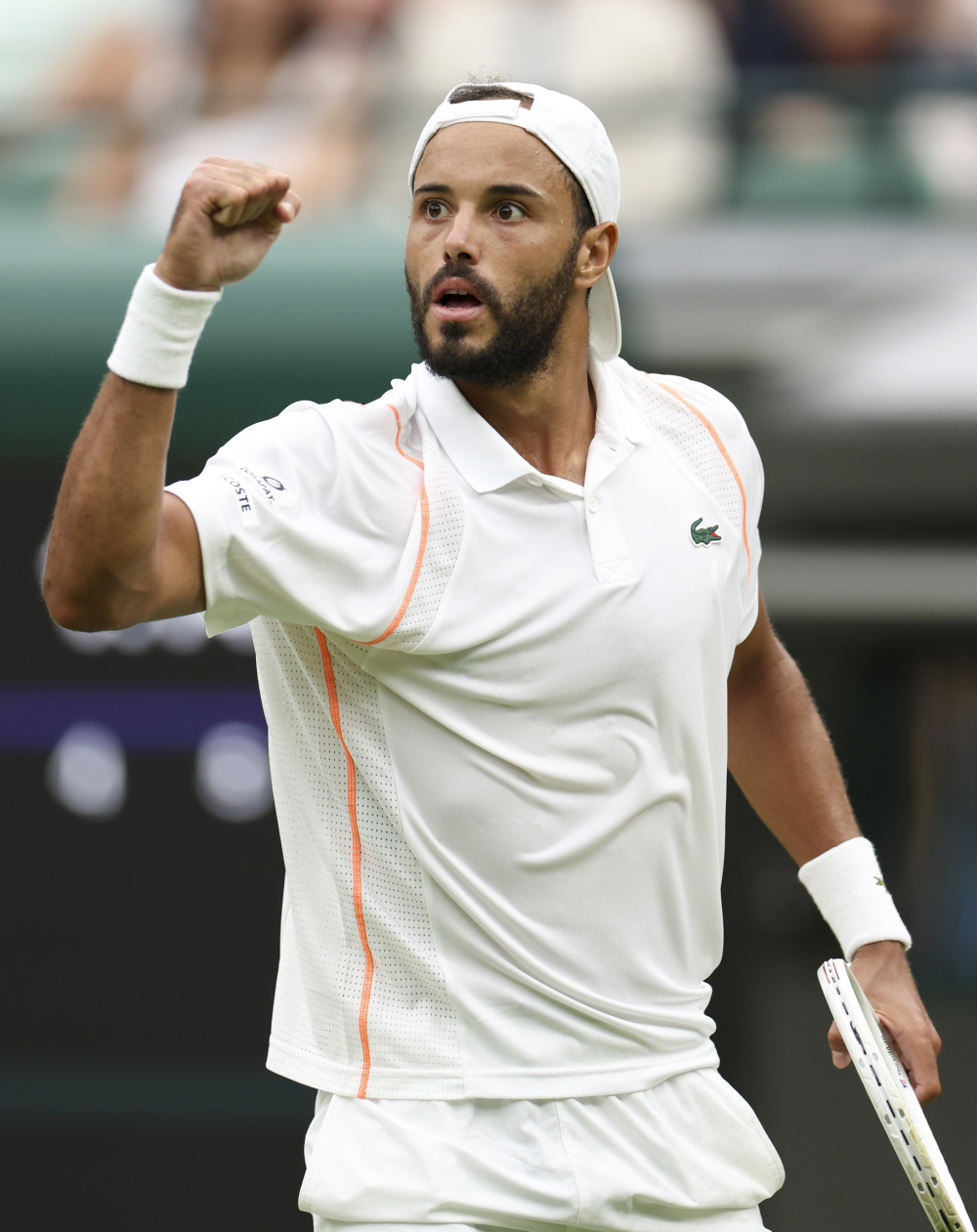 澳网逆转温网，鲁德扛起全队的简单介绍